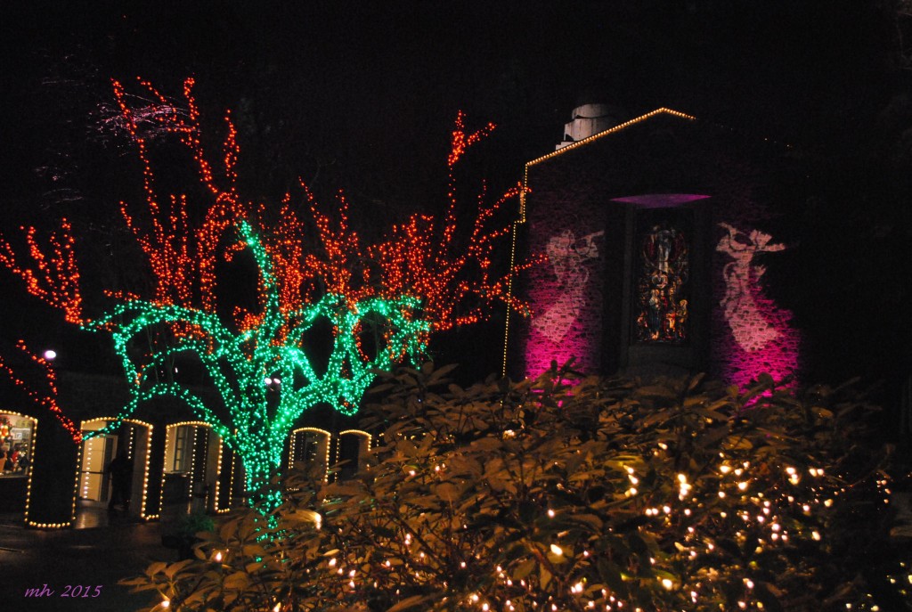 The Christmas Grotto 2015 (22)