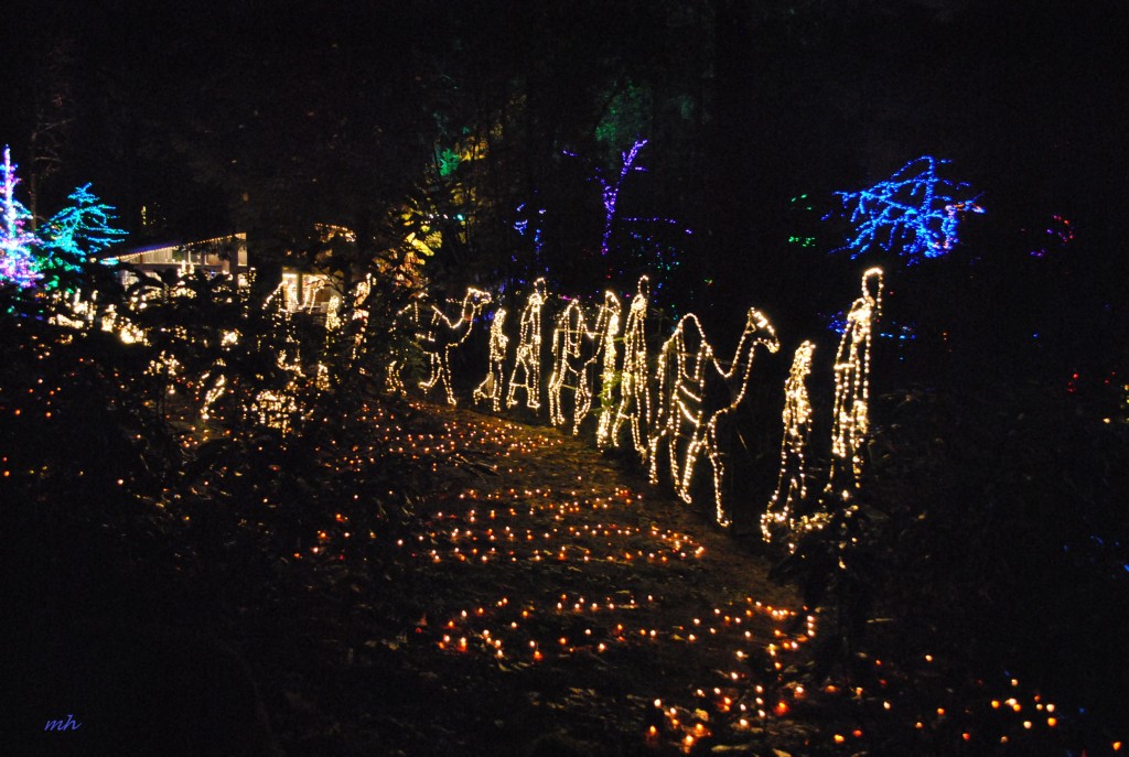The Christmas Grotto 2015 (3)