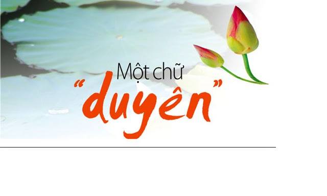 mcdy_974058660