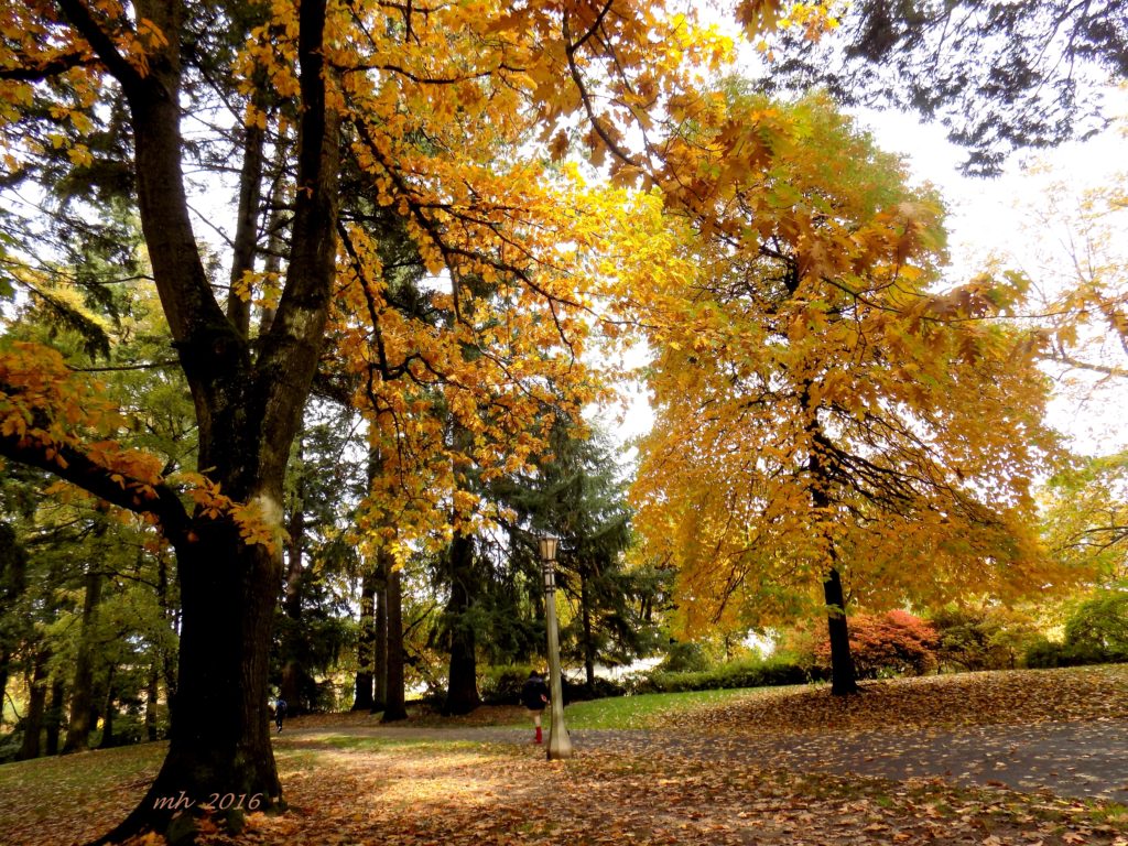 laurelhurst-park-in-portland-2016-3