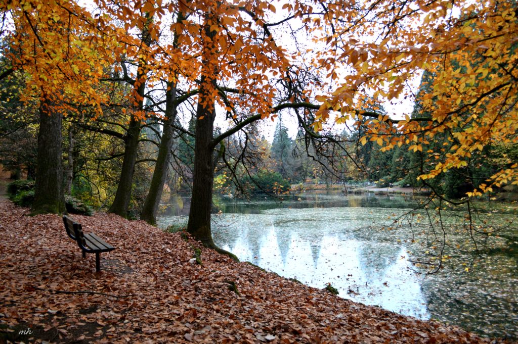 laurelhurst-park-autumn-2016-5