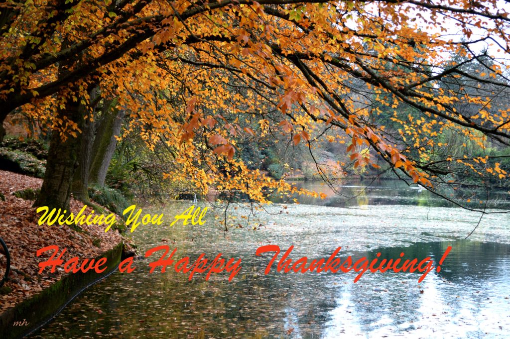 laurelhurst-park-nov-11-2016-4