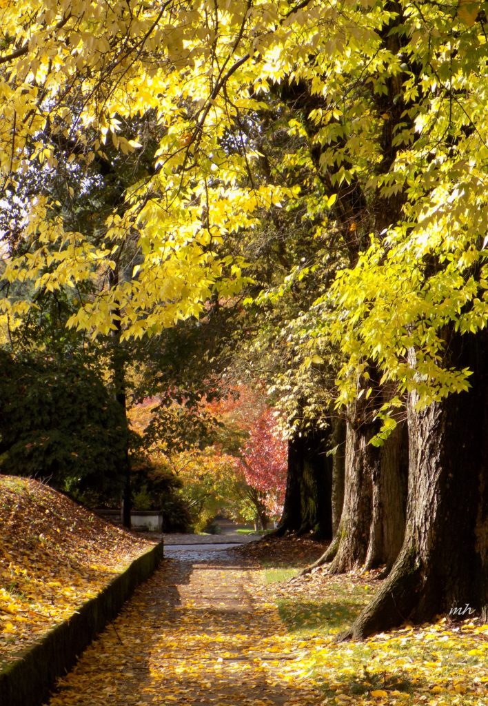 laurelhurst-park-in-portland-2016-4