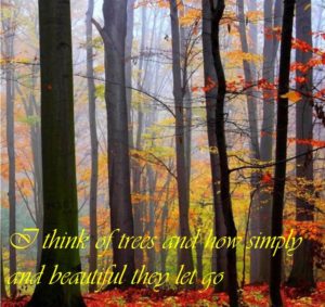 trees-let-go